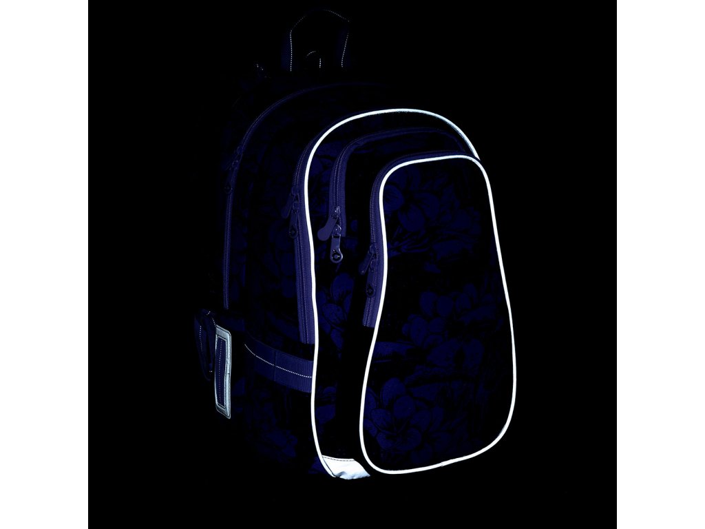 Školská taška LYNN 23008