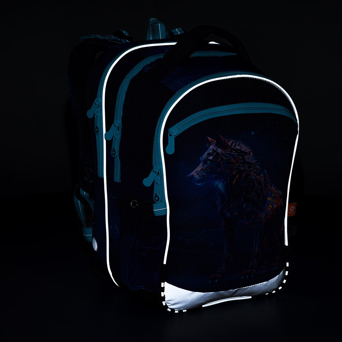 Školská taška COCO 24016