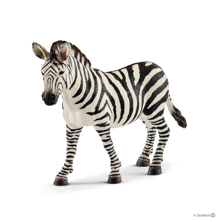 WILD LIFE - Zebra - kobyla