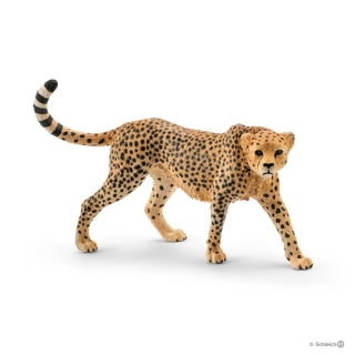 WILD LIFE - Gepard - samica