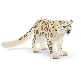 WILD LIFE - Leopard snežný