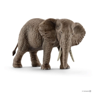 WILD LIFE - Slon africký - samica