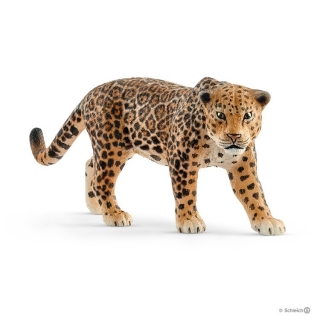 WILD LIFE - Jaguár americký